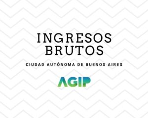 INGRESOS-BRUTOS-min