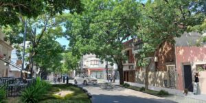 Vecinos-de-Boedo-se-organizan-para-potenciar-la-Calle-Verde-Castro