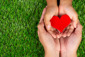 red-heart-shape-family-member-s-hands-holding