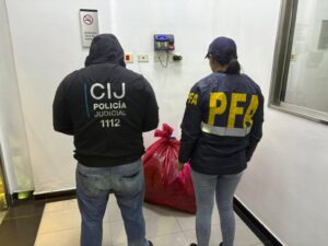 descarga-1024x768