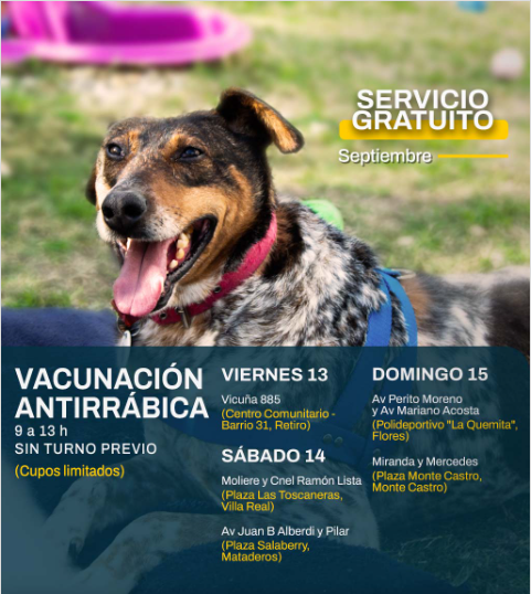 mascotasss
